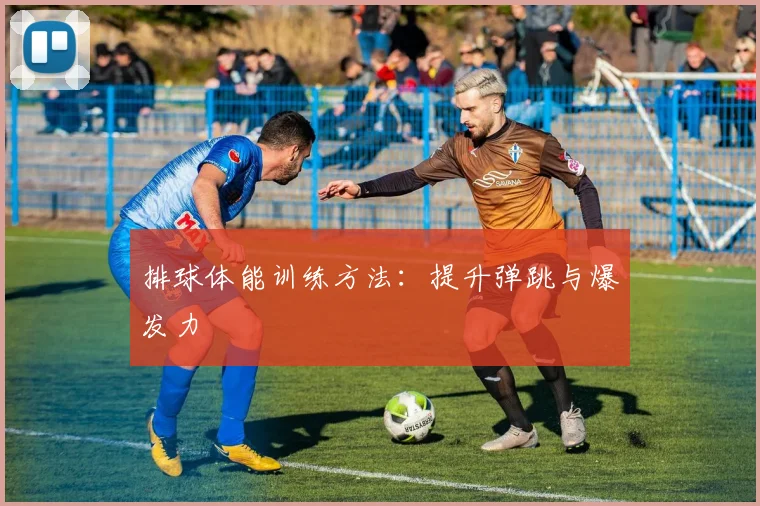 排球体能训练方法:提升弹跳与爆发力