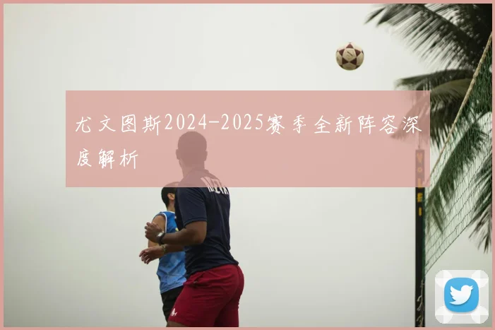 尤文图斯2024-2025赛季全新阵容深度解析