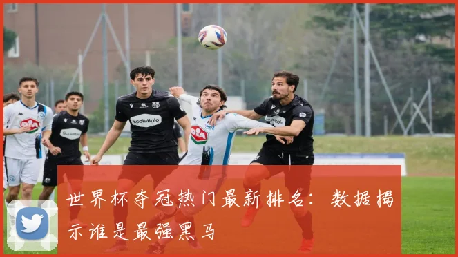 世界杯夺冠热门最新排名：数据揭示谁是最强黑马